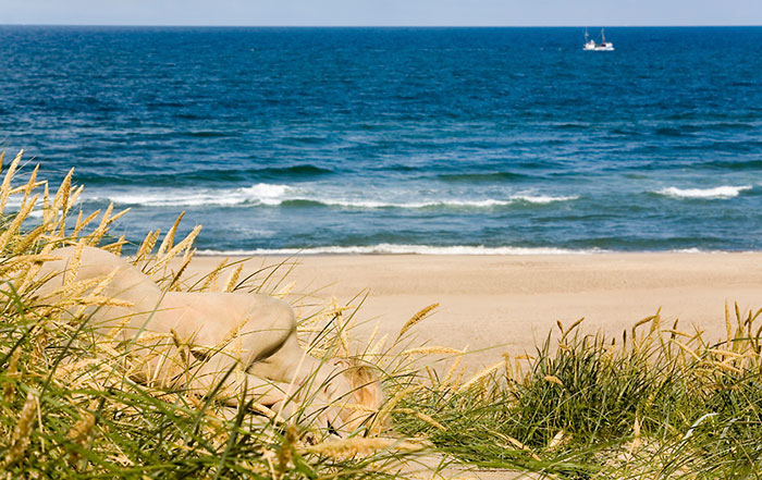Megtalálod az emberi műalkotást a tájképeken? Megtalálod az emberi műalkotást a tájképeken?