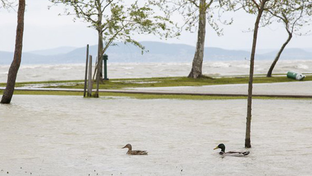MTI Fotó: Varga György