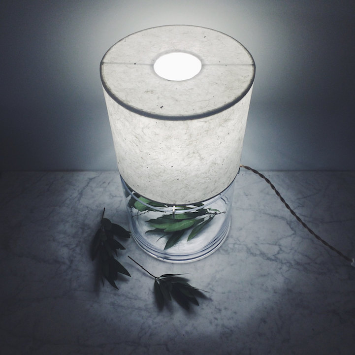 Ebben a dizájnos lámpában még növényt is termeszthetsz