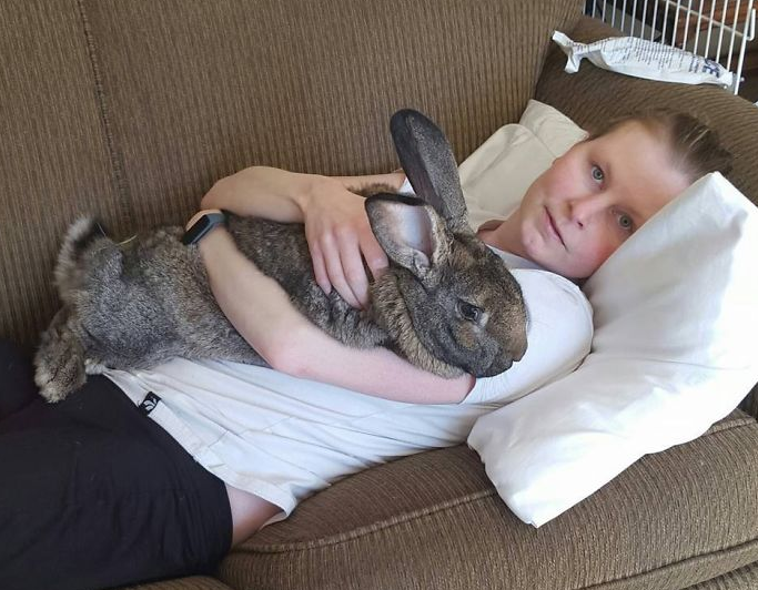 Terápiás nyuszi mentette meg a fiatal nő életét