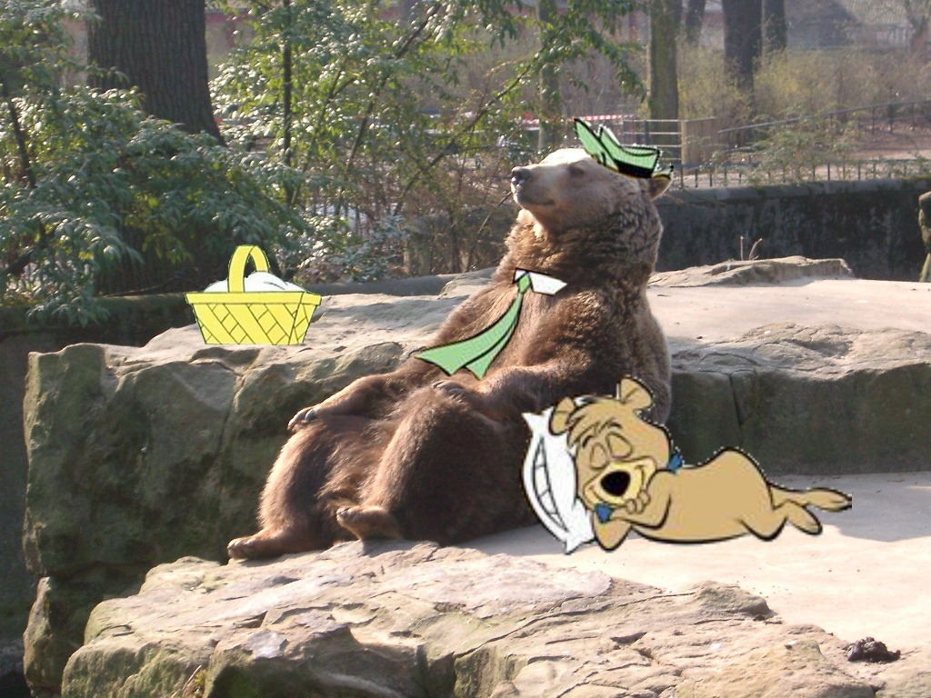 A meditáló zen-medvéből lett a legújabb mém - fotók A meditáló zen-medvéből lett a legújabb mém - fotók