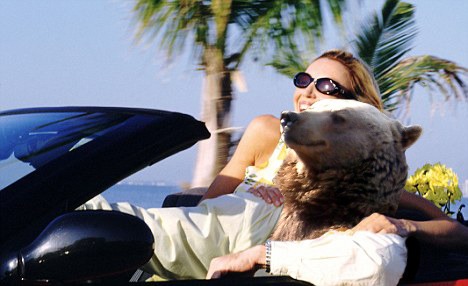 A meditáló zen-medvéből lett a legújabb mém - fotók A meditáló zen-medvéből lett a legújabb mém - fotók