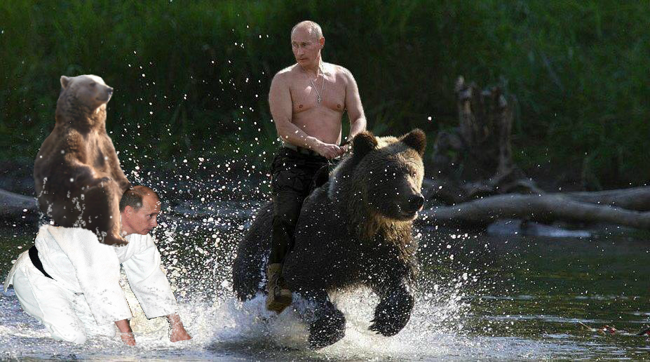 A meditáló zen-medvéből lett a legújabb mém - fotók A meditáló zen-medvéből lett a legújabb mém - fotók