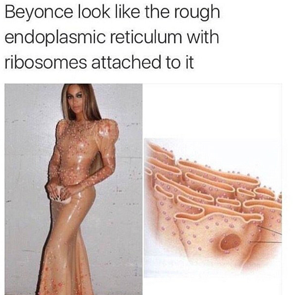 Beyoncé koton ruháján röhögnek a Met-gálán