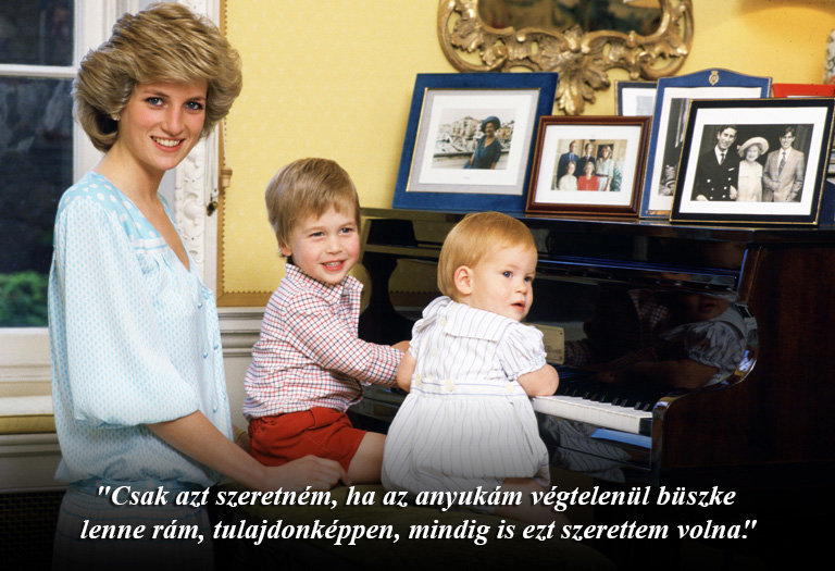 Harry herceg: Harry herceg: