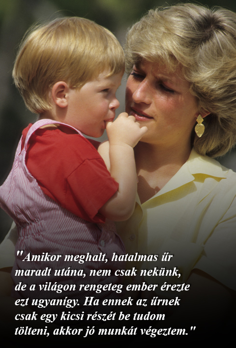 Harry herceg: Harry herceg: