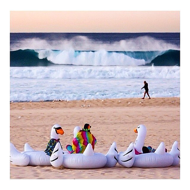 A felfújható hattyú lesz az idei nyár strand-slágere - képek