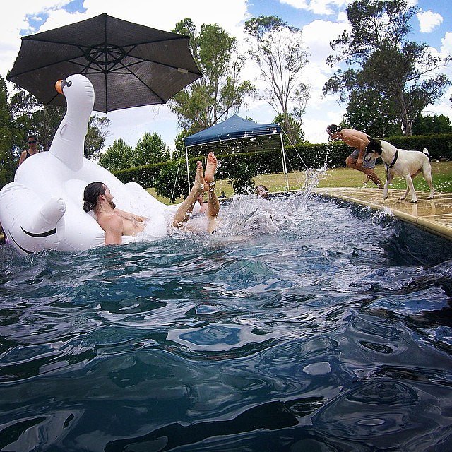 A felfújható hattyú lesz az idei nyár strand-slágere - képek