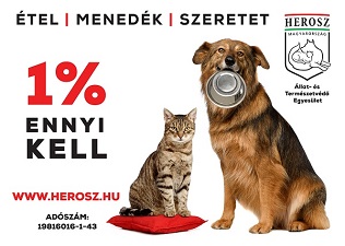 További fotókért kattints a képgalériára! További fotókért kattints a képgalériára!