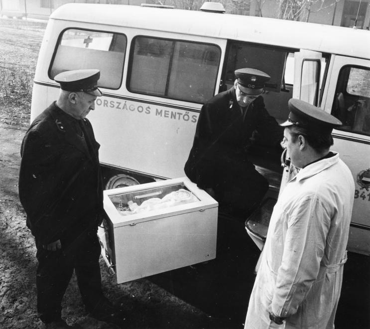 MAGYAR HÍREK FOLYÓIRAT/1968