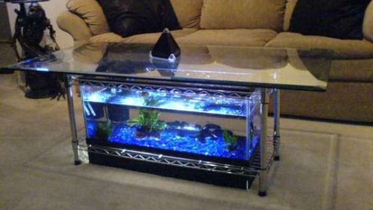 Egyszerre asztal és akvárium Egyszerre asztal és akvárium