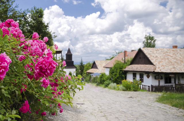 Félmillióval kevesebb a magyar mint 25 éve Félmillióval kevesebb a magyar mint 25 éve