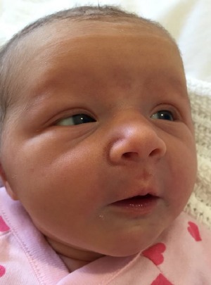 Kislánya született a házaspárnak, akinek mindhárom gyermeke meghalt a lelőtt maláj gépen 