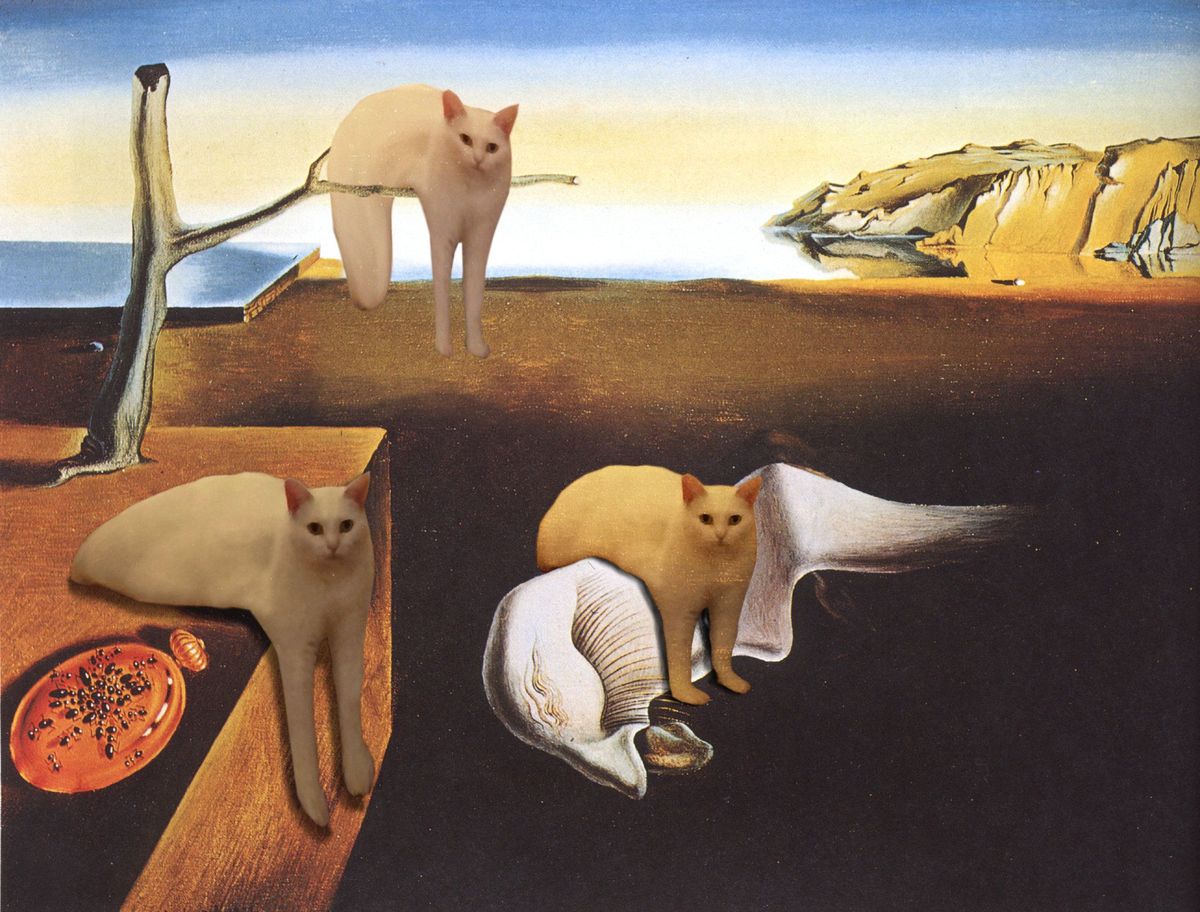 Itt a legújabb mém-őrület: a furcsa féltestű macskától felrobbant az internet Itt a legújabb mém-őrület: a furcsa féltestű macskától felrobbant az internet