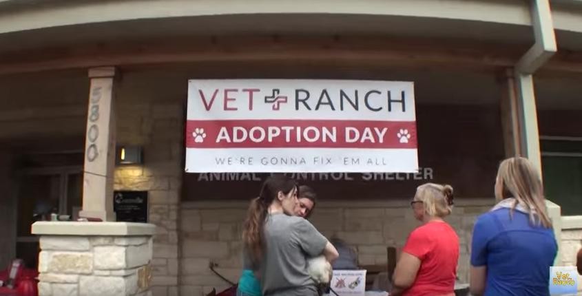 Egy nap alatt az összes állatot örökbefogadták erről a menhelyről - videó