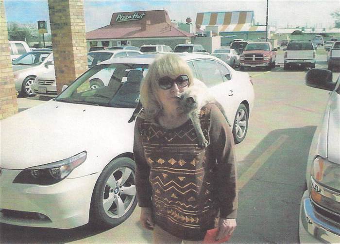 30 éves a világ legidősebb macskája, a sziámi Scooter 