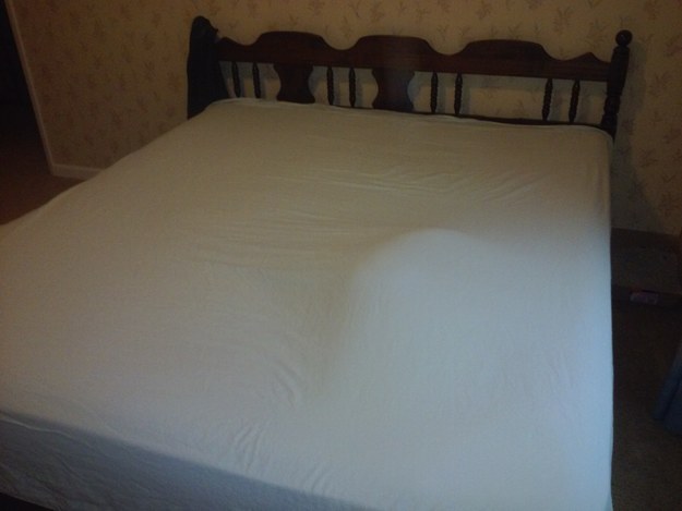 10 dolog, ami csak macskatartókkal történhet meg