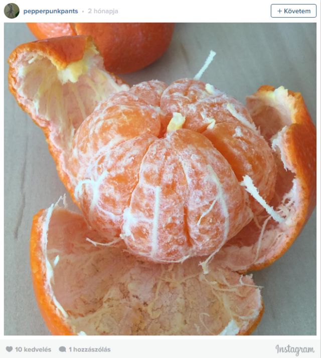 “Nem tudom megenni, mert fejjel lefelé van