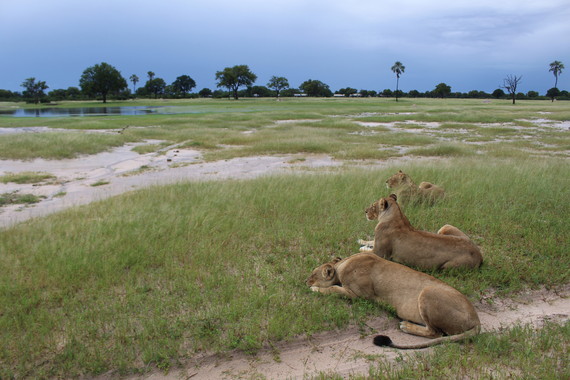 Miért érdemes elutazni Zimbabwébe? Ezért!