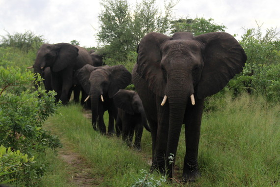 Miért érdemes elutazni Zimbabwébe? Ezért!