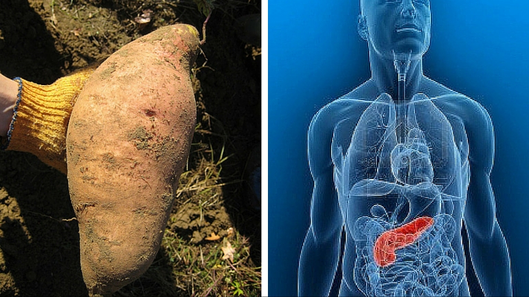 Ezekkel a képekkel egy életre megjegyzed, mire jók az egyes ételek