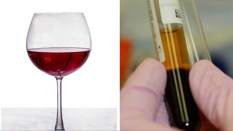 Ezekkel a képekkel egy életre megjegyzed, mire jók az egyes ételek