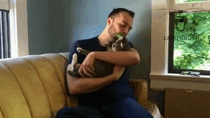 Mostantól a gazdi is mosdathatja macskamód a kedvencét Mostantól a gazdi is mosdathatja macskamód a kedvencét