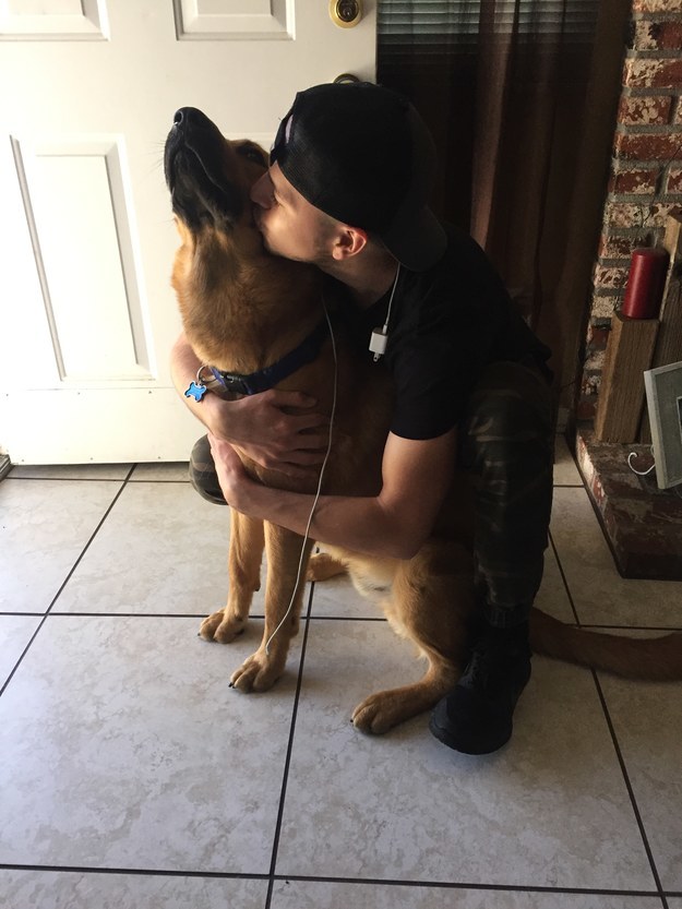 Szívszaggató, ahogy ez a hűséges kutya gazdáját gyászolja