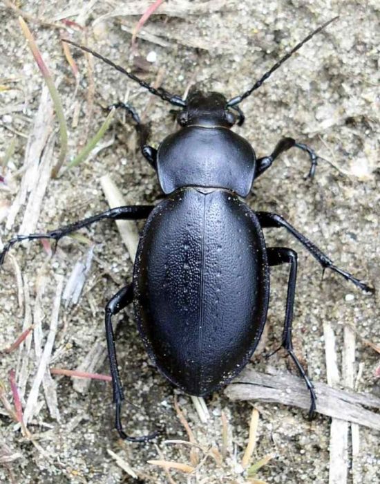 Így védd a természet békéjét - amit minden kiránduló családnak tudni kell Így védd a természet békéjét - amit minden kiránduló családnak tudni kell
