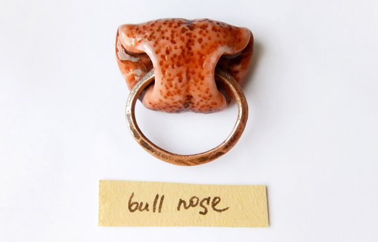 Állatok orrát formázó ékszerek