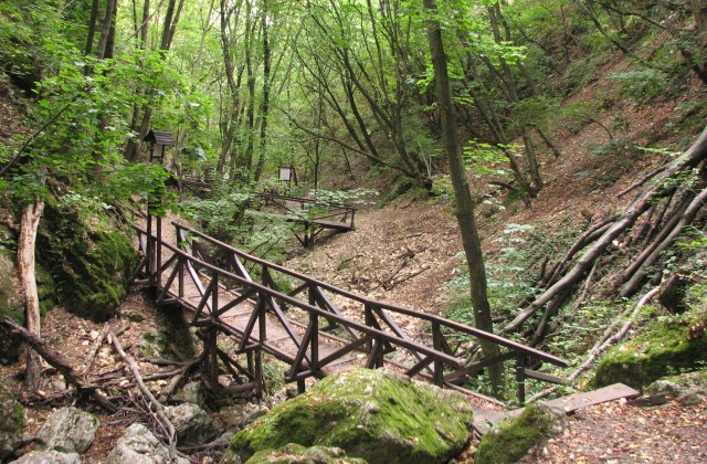 4 tökéletes családi kirándulóhelyek Budapest közelében