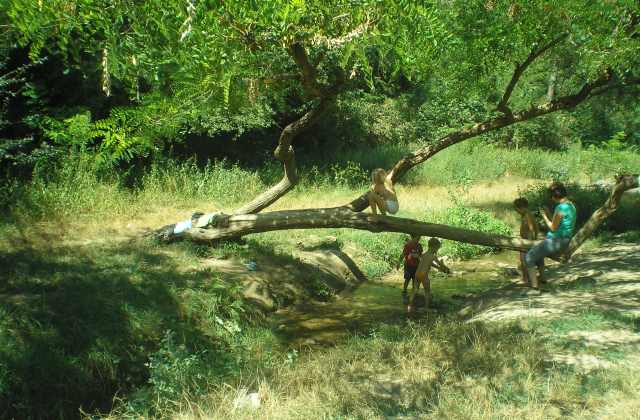 4 tökéletes családi kirándulóhelyek Budapest közelében