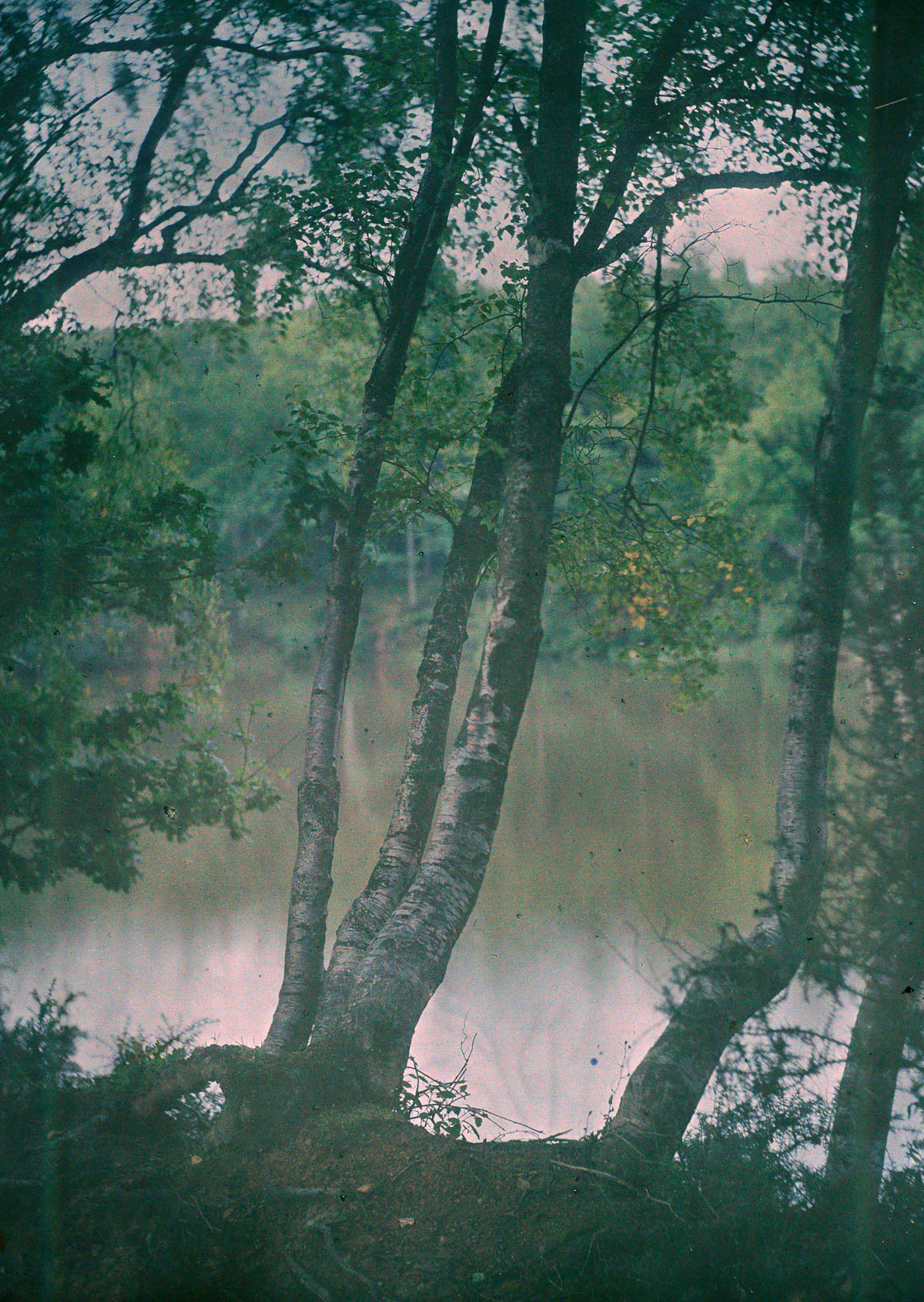 Az 1900-as évek elején készült színes fotók olyanok, mintha álmodnád őket Az 1900-as évek elején készült színes fotók olyanok, mintha álmodnád őket