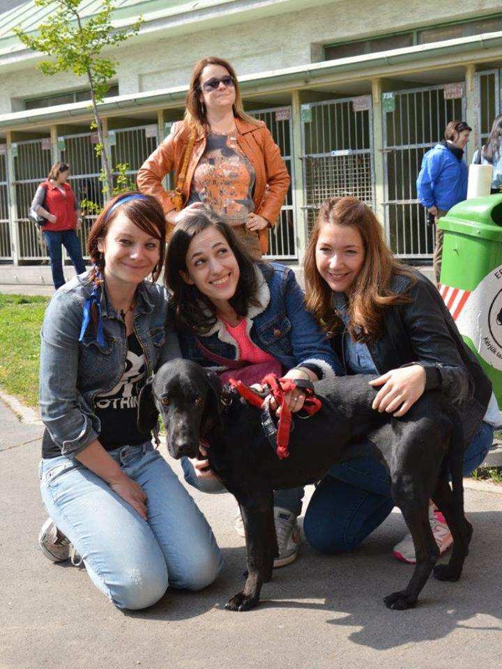 Képek forrása: Vigyél Haza Alapítvány