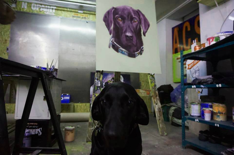 Képek forrása: Vigyél Haza Alapítvány