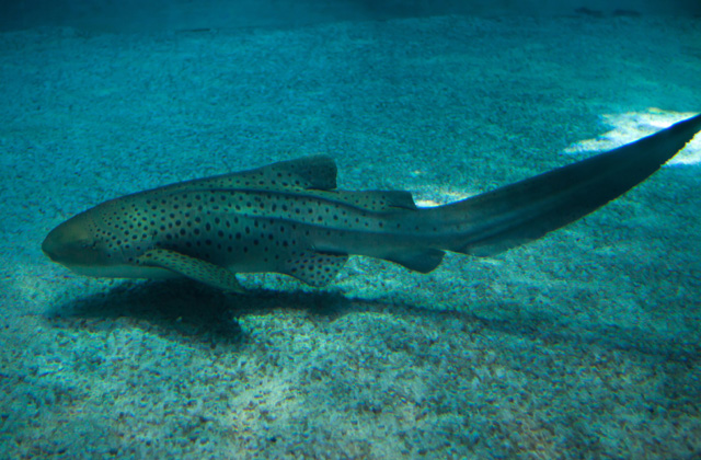 A kép illusztráció!