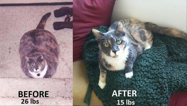 Ő valószínűleg nem önszántából fogyózott, de neki is sikerült lefogynia