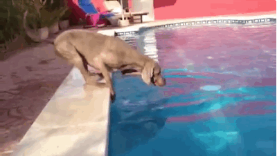 Hétvégére már itt a kánikula