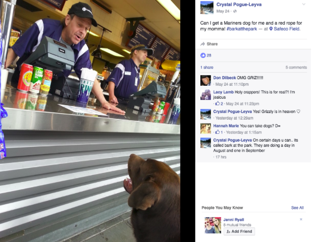 Az éhes kutyát egyáltalán nem érdekli a meccs