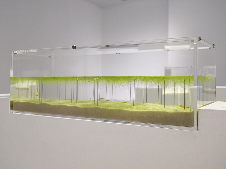 Vegyél a halaidnak szuperdizájnos 3D nyomtatott akváriumot! Vegyél a halaidnak szuperdizájnos 3D nyomtatott akváriumot!