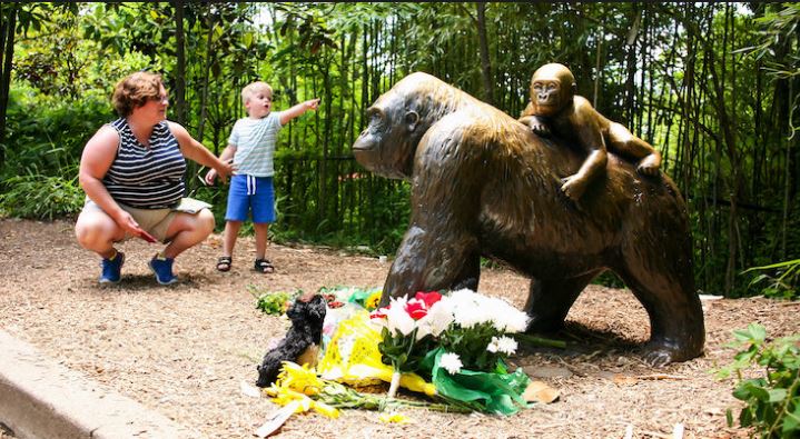 “Balesetek történnek