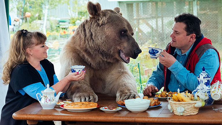Még házimunkát is végez az orosz családdal élő medve