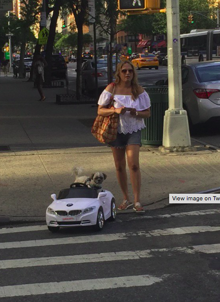 Parányi BMW-vel hasít a kutya Parányi BMW-vel hasít a kutya