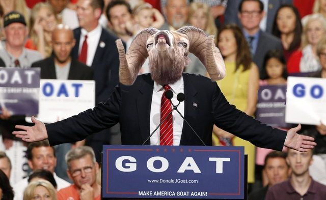 Olyan mémháborút robbantott ki ez a vadjuh, amilyet még nem láttál