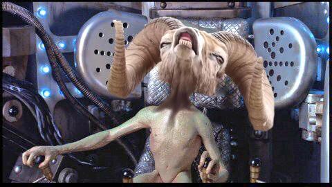 Olyan mémháborút robbantott ki ez a vadjuh, amilyet még nem láttál