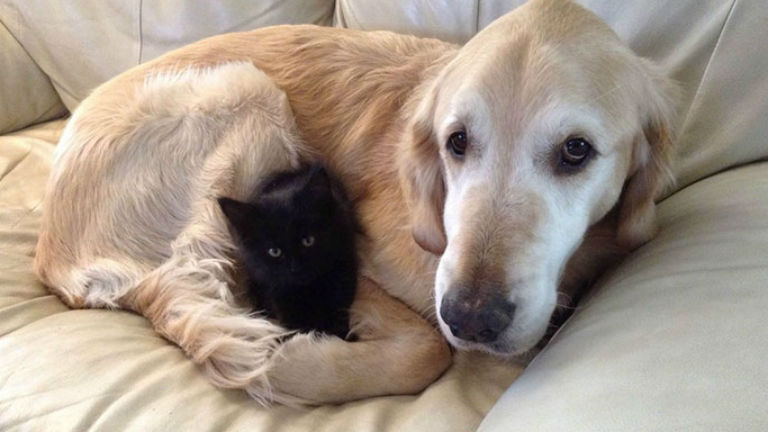 Képek forrása: Reddit