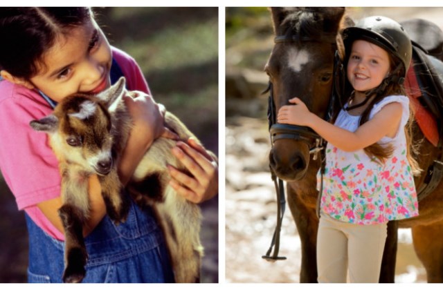 4 szuper nyári tábor állatbarát gyerekeknek