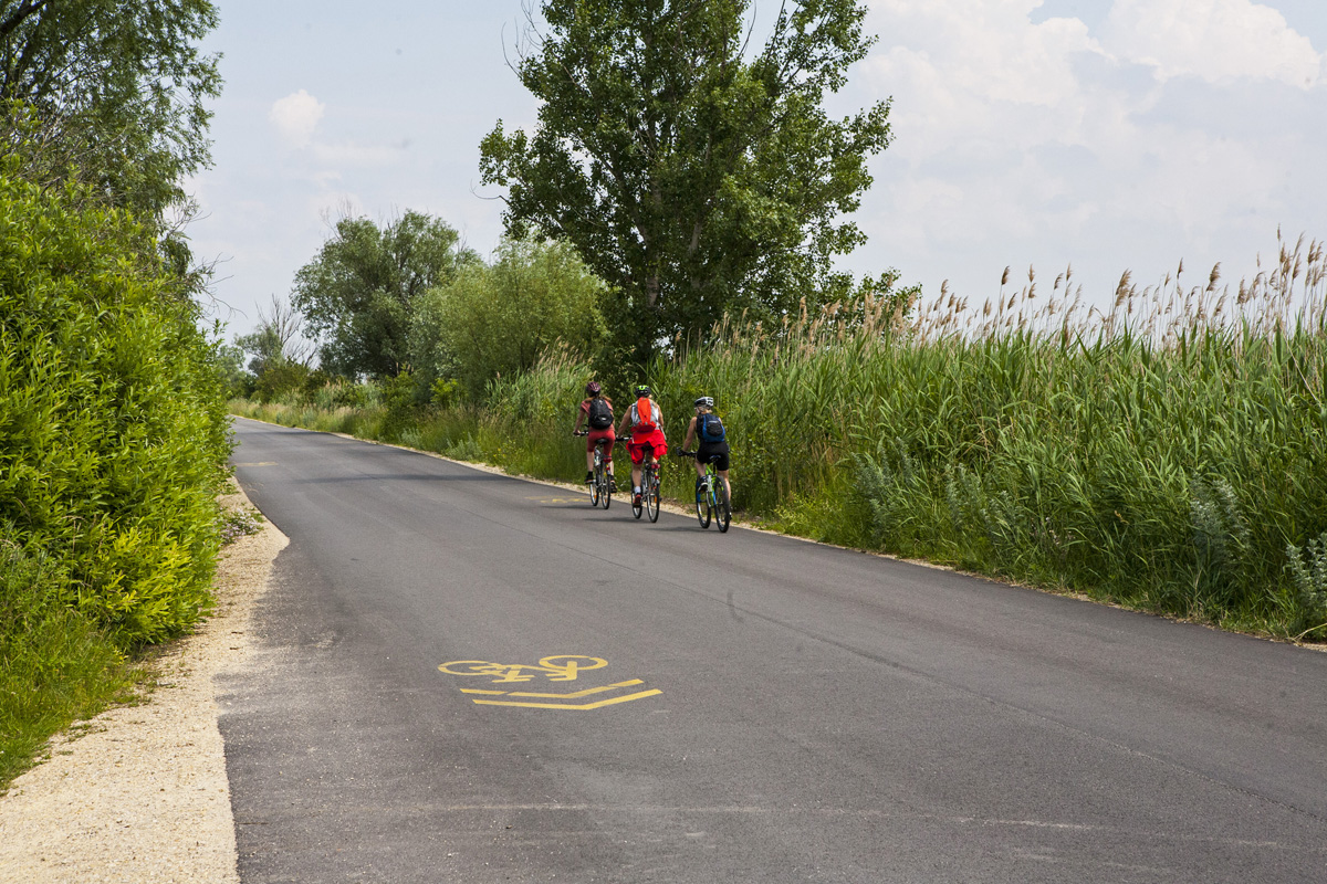 Fertő tó: egy csepp nyugalom az érintetlen természet közepén Fertő tó: egy csepp nyugalom az érintetlen természet közepén