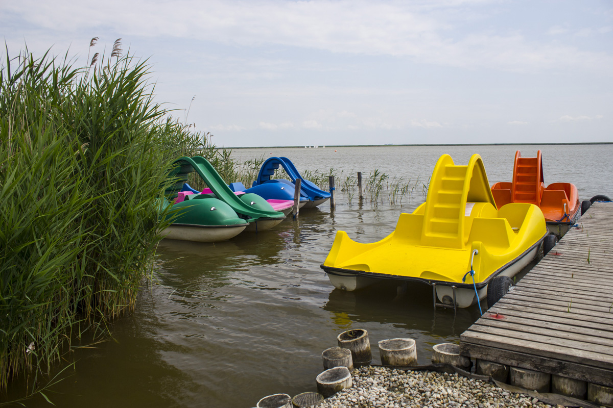 Fertő tó: egy csepp nyugalom az érintetlen természet közepén Fertő tó: egy csepp nyugalom az érintetlen természet közepén