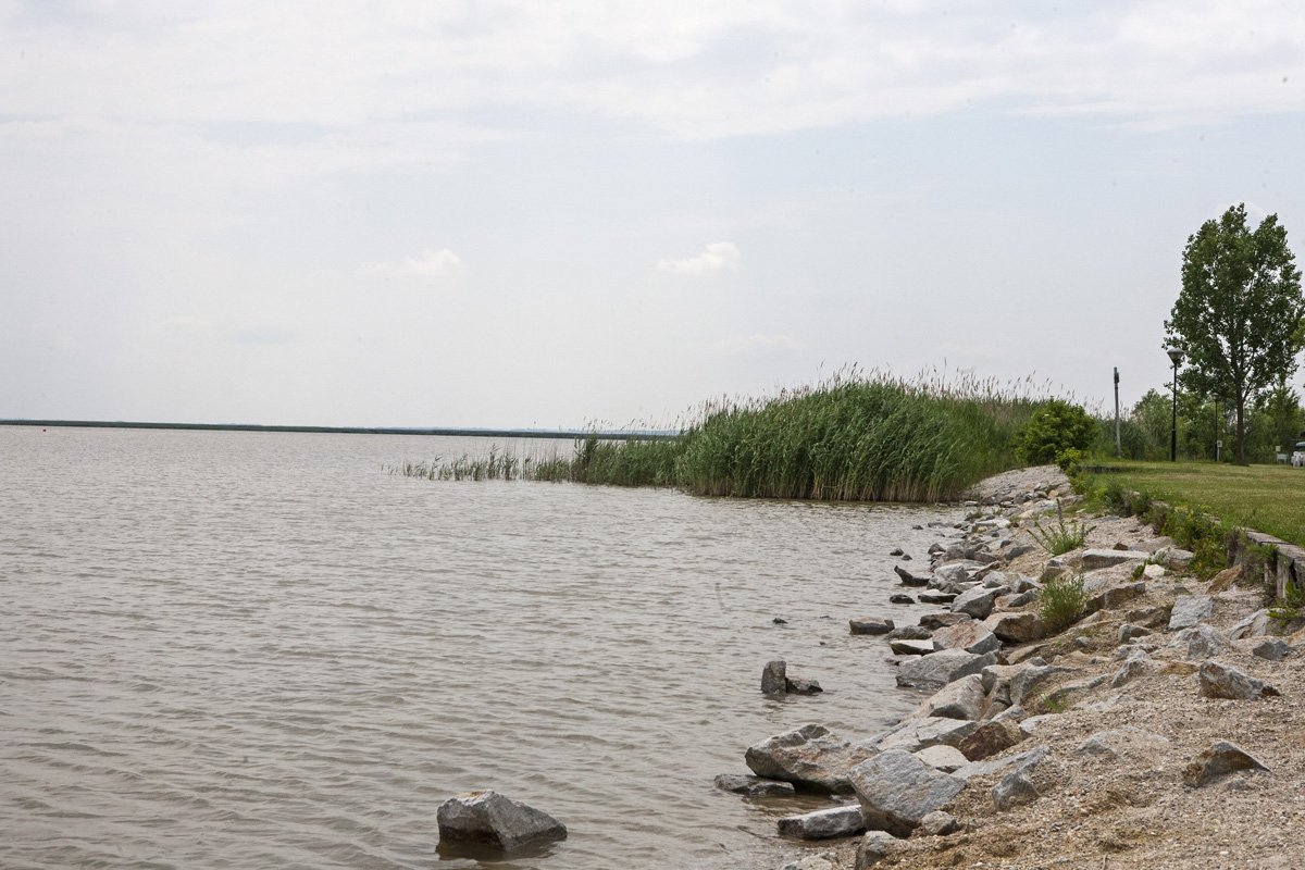 Fertő tó: egy csepp nyugalom az érintetlen természet közepén Fertő tó: egy csepp nyugalom az érintetlen természet közepén